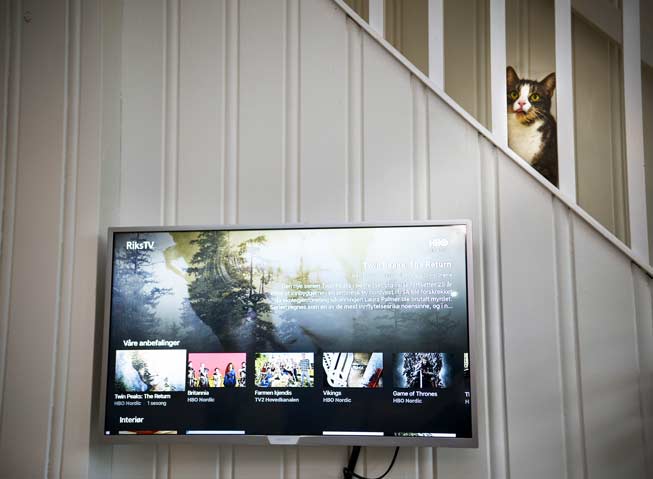 TV-skjerm med RiksTVs programutvalg på skjermen. I bakgrunnen sitter en nysgjerrig katt.