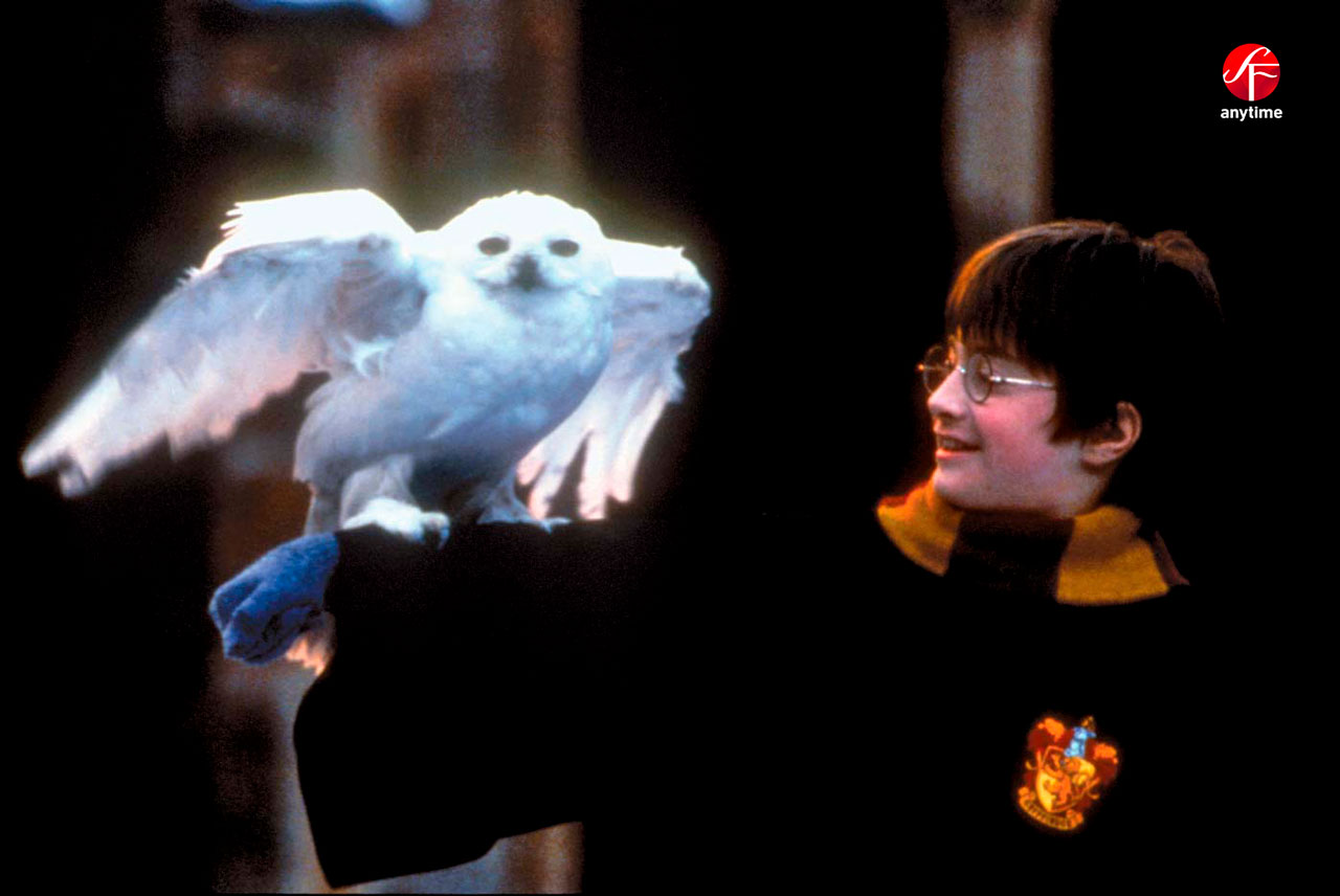 Harry-Potter-And-The-Philosophers-Stone